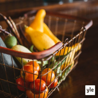 Oppivatko suomalaiset kierrättämään ja säästämään luonnonvaroja?