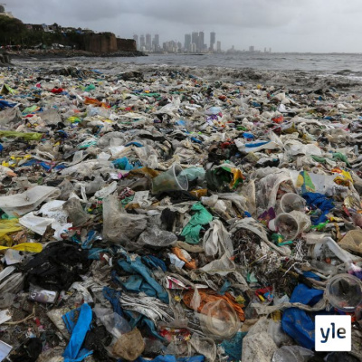 Roman Schatzin Maamme-kirja