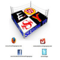 El Podcast de El Wrestling Según Yo - 1x14 - Elimination Chamber 2013