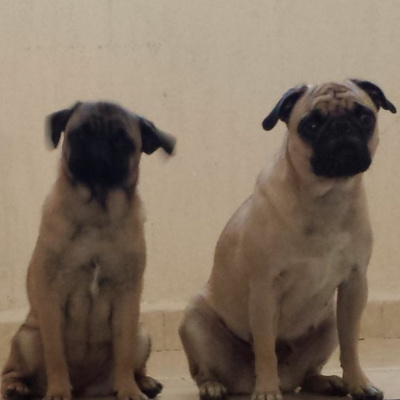 Una Pareja En El Cine