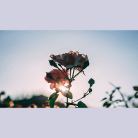 The Happiness of God