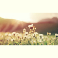 The Price and the Prize of the Gospel