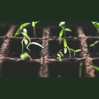 The Roots of Fearless Unity in the Gospel