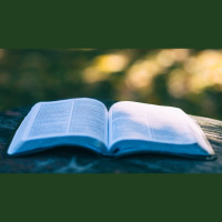 Holding Fast the Word of Life