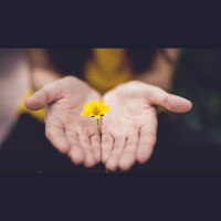 Happy in Hope, Patient in Pain, Constant in Prayer