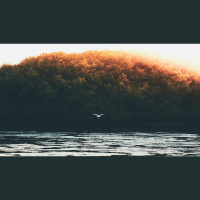 God Demonstrates His Love Toward Us