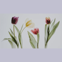 The Pursuit of God’s Glory in Salvation 