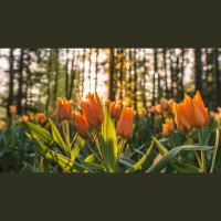 You Must Be Born Again