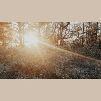 The Gallows and the Gift of Life