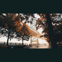 Use Means, but Trust in God