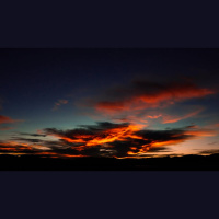 For Judgment I Came into This World