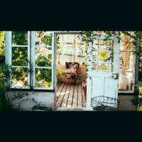 The Great Invitation: Come! Drink! Eat! Live!