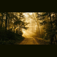 Conversion to Christ: The Making of a Christian Hedonist