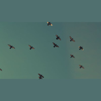 Sweet “Our” of Prayer