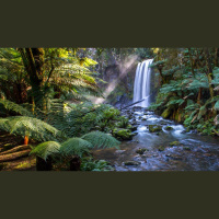 Prayer: How to Do the Humanly Impossible