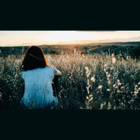 Blessed Are the Meek