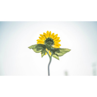 To Finish the Aim of Christ’s Afflictions