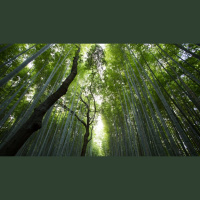 The Immeasurable Greatness of His Power Toward Us