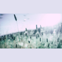 My Abandoned Life for Your Abundant Life