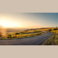 Those Whom He Justified He Also Glorified