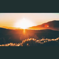 No One Born of God Makes a Practice of Sinning