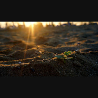 Why Do We Need to Be Born Again?