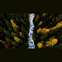 Do Not Love the World