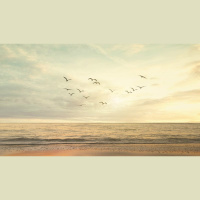 How Does the Gospel Save Believers? Part 1