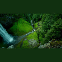 If My Words Abide in You