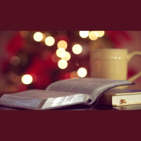 Put the Attorneys to Work: How to Give the Bible Functional Authority in Your Speech and Writing