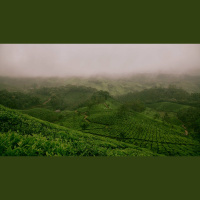 Lord, Teach Us to Fight: The Double Battle in Gethsemane