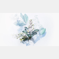 A Tender Word to Pharisees