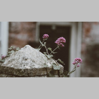 Blessed Are the Poor in Spirit Who Mourn