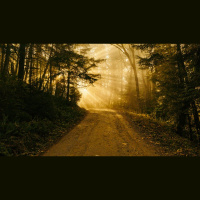 Let Us Walk in the Light of God