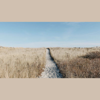 Faithfulness Is Better Than Life