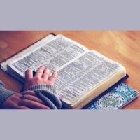 Wonderful Things from Your Word