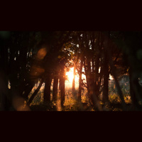 Things Are Worse Than and Better Than They Seem