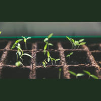 God Strengthens Us by the Gospel