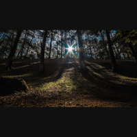 Our Hope: The Redemption of Our Bodies