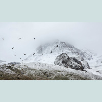 Beyond Forgiveness: Blasphemy Against the Spirit