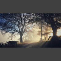 The Suffering of Christ and the Sovereignty of God