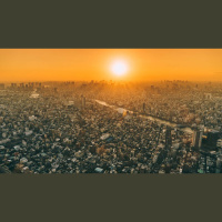 All Things Were Created Through Him and for Him