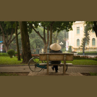 Every Race to Reign and Worship