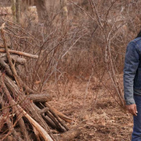 18.06: Terres à vagues