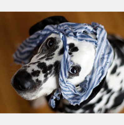 Carlos  Kiki In The Morning