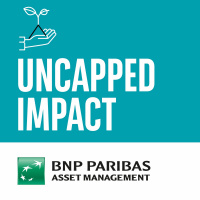 Uncapped impact: Sunnova and the energy transition