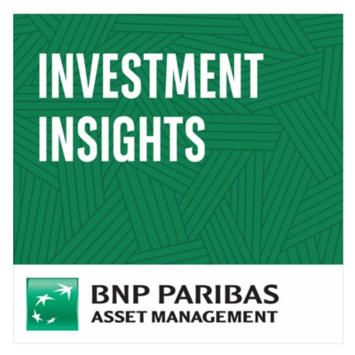 Investment Insights