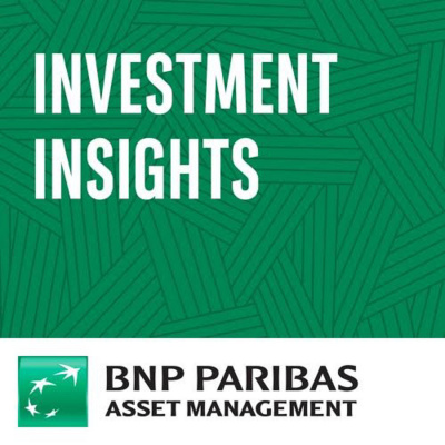 Investment Insights