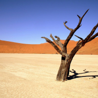 02 Incredulidad 24 - 04 - 2016 - MP3 Para Podcasting De Audio