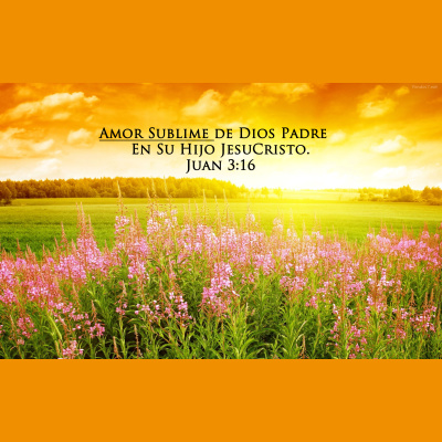 Amor Sublime (predicas)